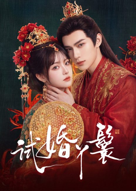مشاهدة مسلسل خادمة المحاكمة The Trial Handmaiden الحلقة 4 مترجمة